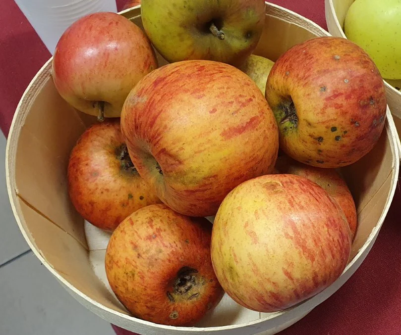 Miniature 2